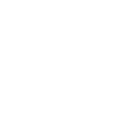 on site car inspection service icon