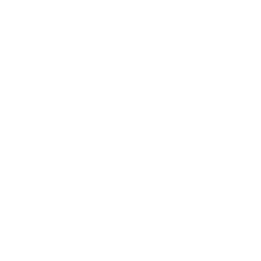 Car parts shop icon