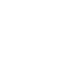 lexus genuine parts for every 10000km car service
